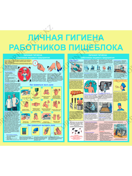 Личная гигиена работников пищеблока 80х70х0,5 см (SD-29)