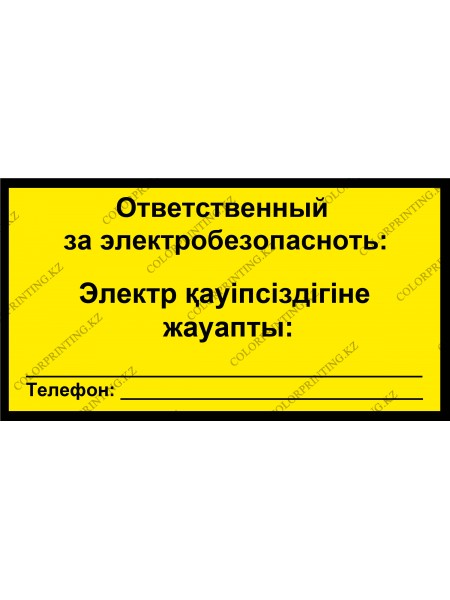 Ответственный за электробезопасность 24х13 см