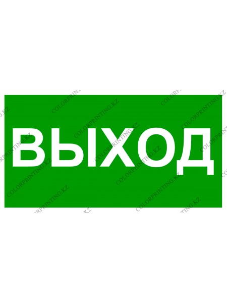 Указатель выход 24х13 см