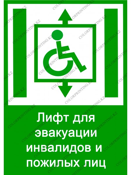 Лифт для эвакуации инвалидов и пожилых лиц 