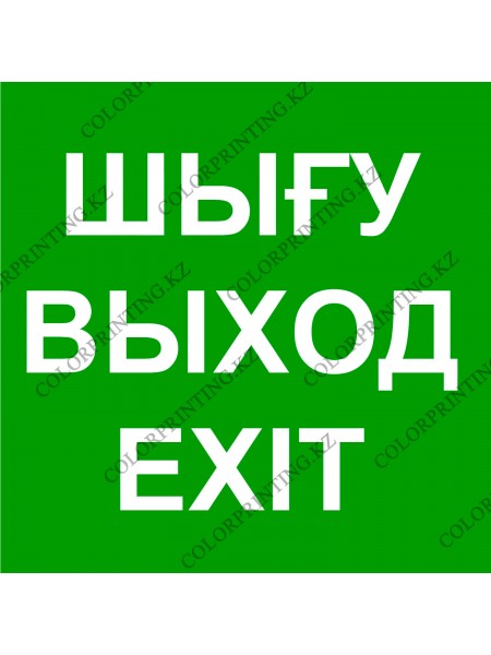 Указатель выход шығу exit 30см